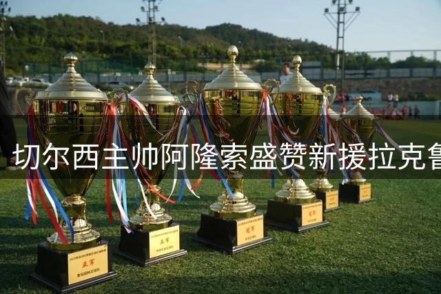 切尔西主帅阿隆索盛赞新援拉克鲁瓦 称拉维亚已具备出战条件
