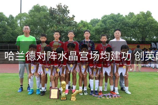 哈兰德对阵水晶宫场均建功 创英超赛场神奇纪录